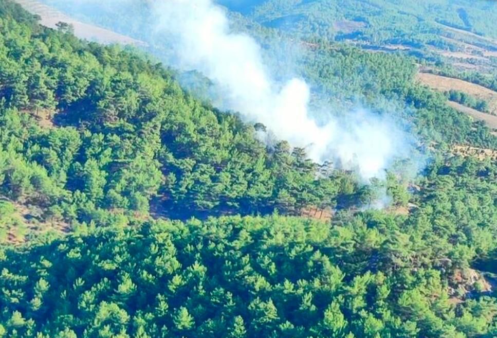 Çanakkale'de orman yangını 