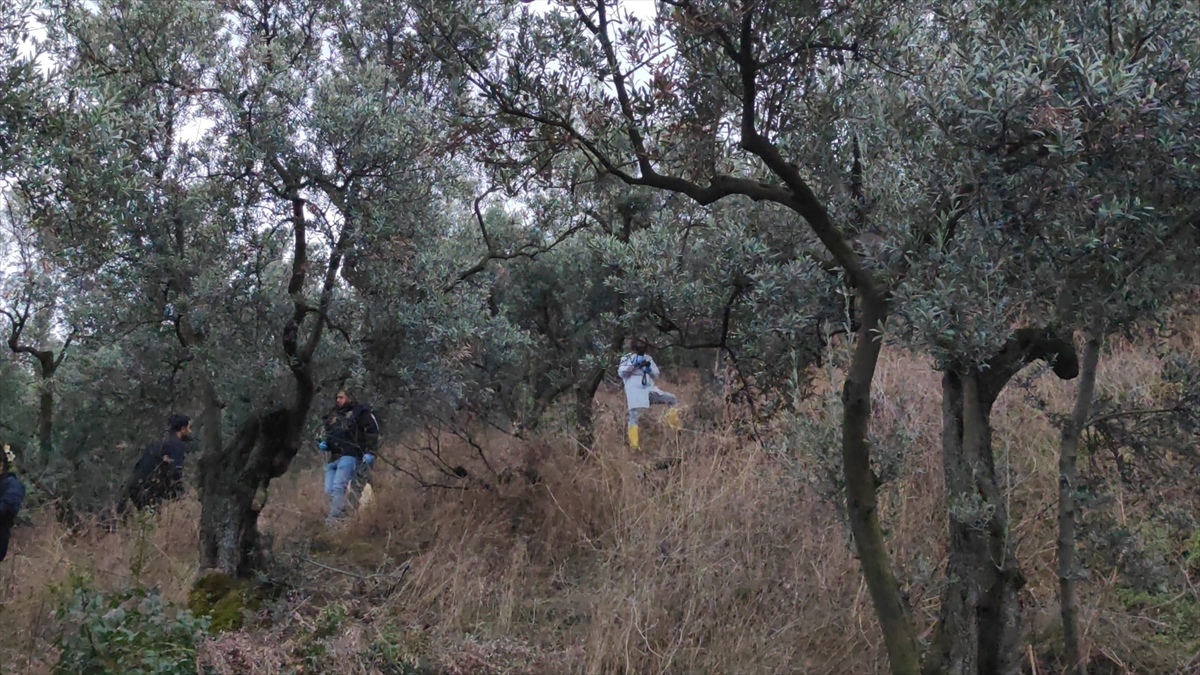 47 gündür aranıyordu... Genç kadının cesedi zeytinlikte bulundu