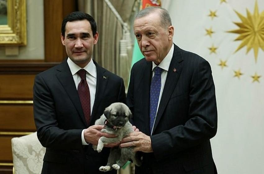 Erdoğan ve Berdimuhammedov birbirine köpek hediye etti