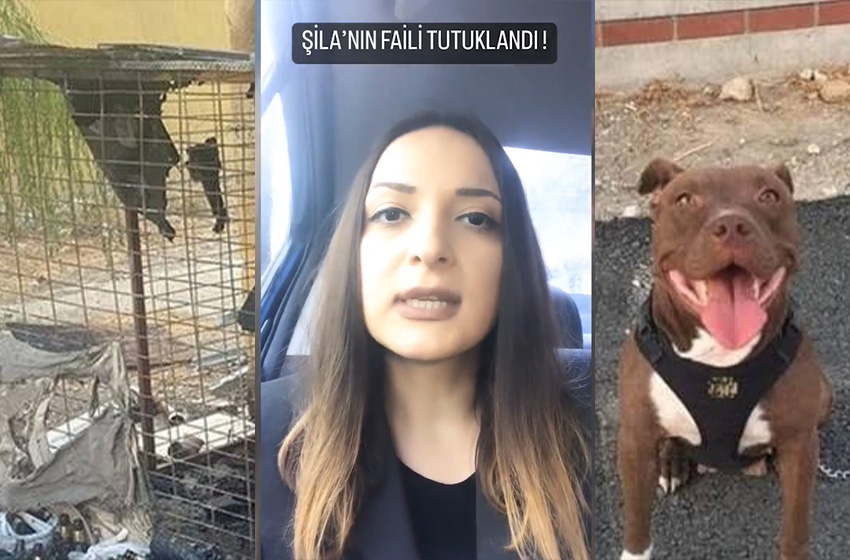 Adalet yerini buldu! Şila'nın katili tutuklandı