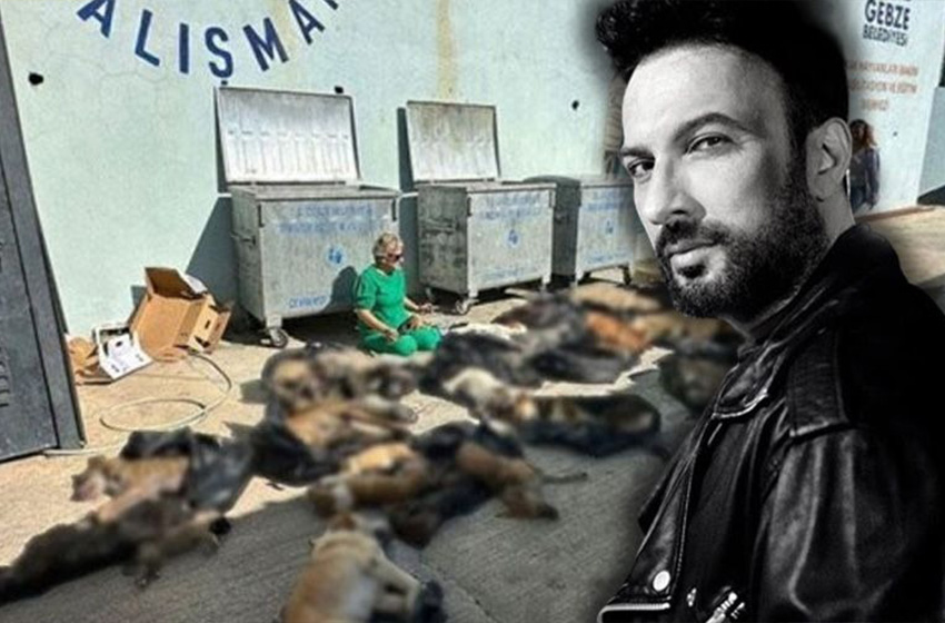 Tarkan'dan hayvan katliamına sert tepki: Vicdanlarınıza yazıklar olsun!